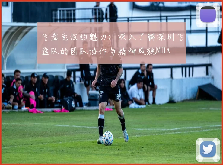 飞盘竞技的魅力：深入了解深圳飞盘队的团队协作与精神风貌MBA