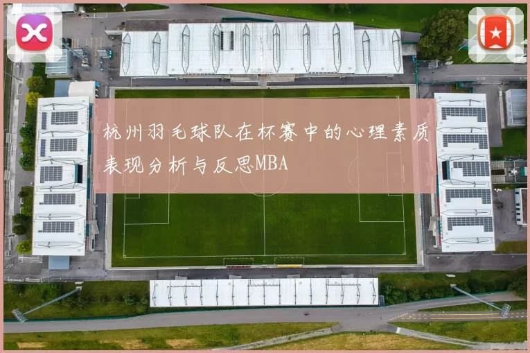 杭州羽毛球队在杯赛中的心理素质表现分析与反思MBA
