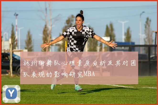 杭州街舞队心理素质分析及其对团队表现的影响研究MBA