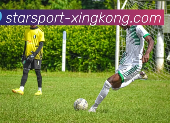 App Interface Preview